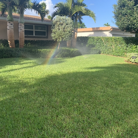 Irrigation