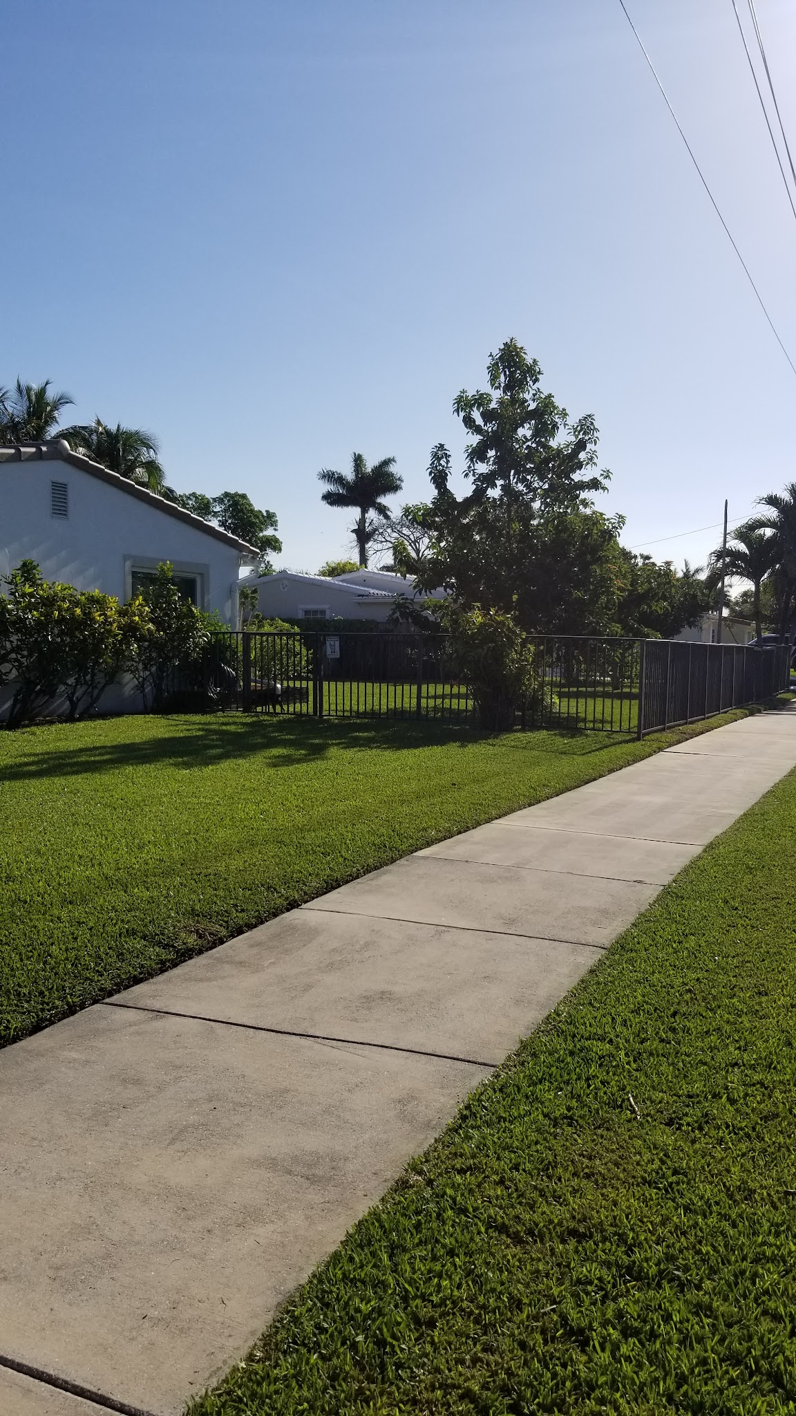 DeMarco Landscaping recent work