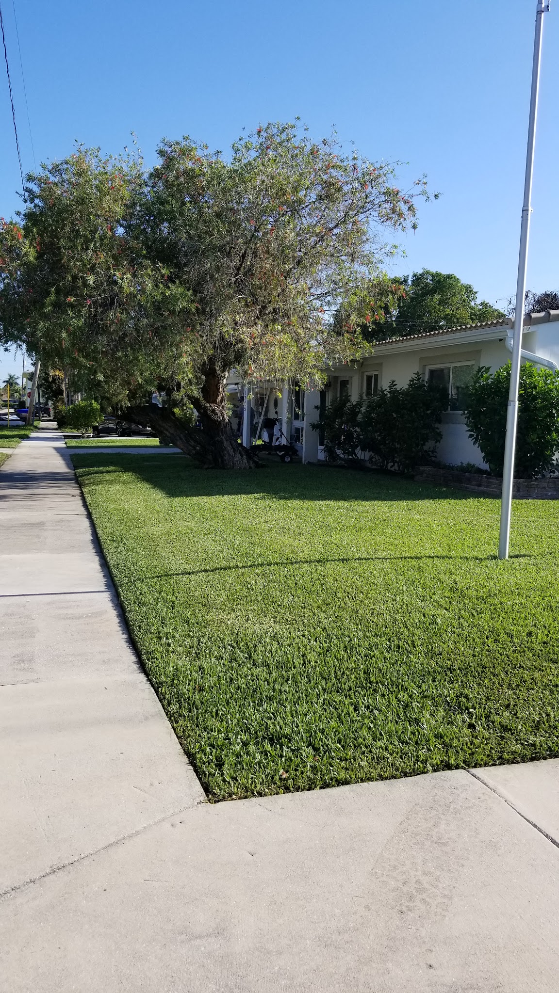 Lawn Restoration & Specialty Treatment